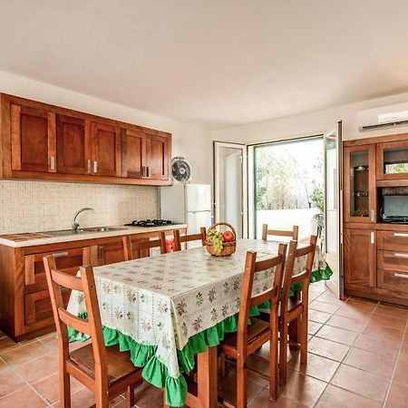 Green Star Holiday House Villa Marina di Mancaversa Ngoại thất bức ảnh